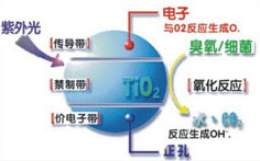 &#108;&#101;&#121;&#117;&#46;&#20048;&#40060;&#40;&#38598;&#22242;&#41;&#20307;&#32946;&#45;&#31185;&#25216;&#32929;&#20221;&#26377;&#38480;&#20844;&#21496;&#32593;&#31449;